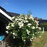 Bellevue Semesterbostad Kobbelluck